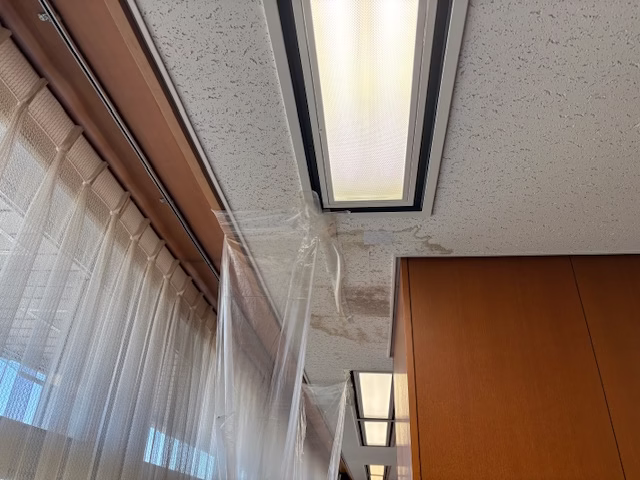 天井補修1